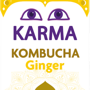 KOMBUCHA Z IMBIREM NISKA ZAWARTOŚĆ CUKRÓW FAIR FOR LIFE DEMETER BIO 500 ml - KARMA KOMBUCHA