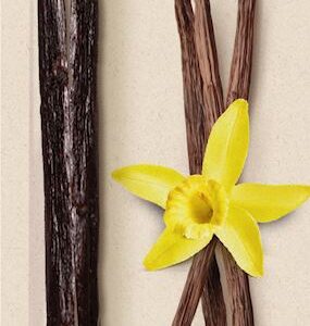 WANILIA BOURBON LASKA BEZGLUTENOWA BIO (2 szt.) - BIOVEGAN