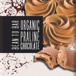 CZEKOLADA MLECZNA PRALINOWA BIO 100 g - MEYBONA