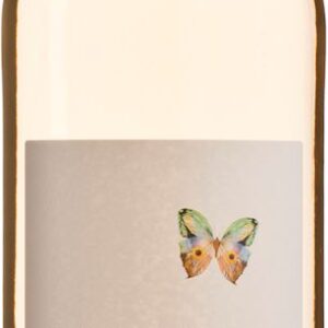 WINO BIAŁE WYTRAWNE PINOT GRIOGIO BIO 0,75 L (WŁOCHY) - IL PONTE