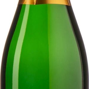 WINO BIAŁE WYTRAWNE MUSUJĄCE BIO 0,75 L (HISZPANIA) - VIVOLOVIN