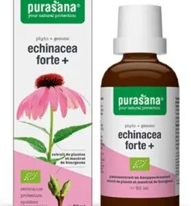 JEŻÓWKA PURPUROWA (ECHINACEA FORTE) KROPLE BIO 50 ml - PURASANA