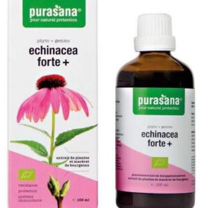 JEŻÓWKA PURPUROWA (ECHINACEA FORTE) KROPLE BIO 100 ml - PURASANA