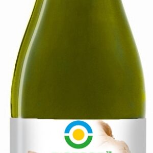 SOK Z IMBIRU NFC BEZGLUTENOWY BIO 300 ml - BIOFOOD