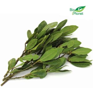 LIŚĆ LAUROWY ŚWIEŻY BIO (około 50 g)