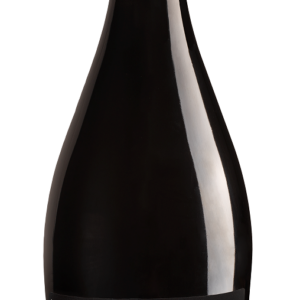 KOMBUCHA BELLEBULLE NA PŁATKACH DĘBU O SMAKU KWIATÓW CZARNEGO BZU BIO 750 ml - KOMBUCHA BY LAURENT