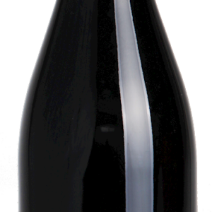 WINO ARONIOWE PÓŁWYTRAWNE BIO 750 ml - WINNICE PRADOLINY (BIOWINNICA)