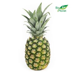ANANAS ŚWIEŻY BIO (około 1,20 kg)