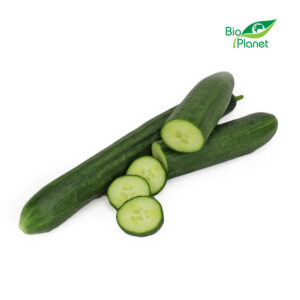 OGÓREK DŁUGI ŚWIEŻY BIO (około 0,35 kg)