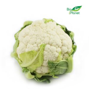 KALAFIOR ŚWIEŻY BIO (około 0,70 kg)