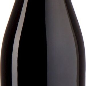 WINO CZERWONE WYTRAWNE SYRAH BEZ DODATKU SIARCZYNÓW BIO 750 ml -  PAGO CASA GRAN
