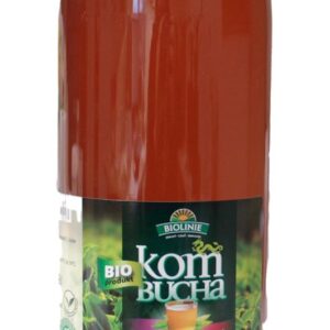 KOMBUCHA HERBATA ZIELONA BIO 2 L - BIO LINIE